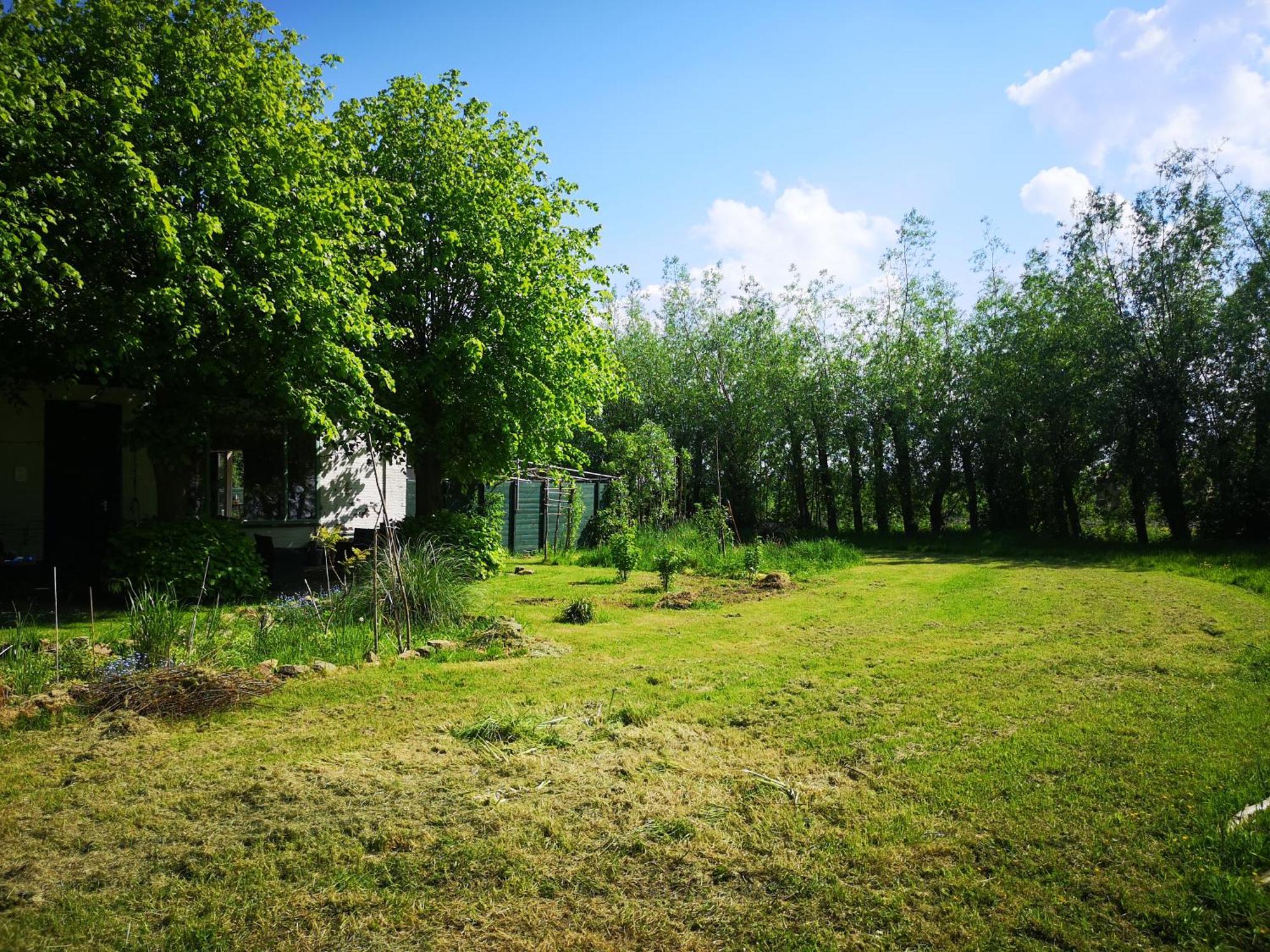 Sweet Tiny House Villa Westbeemster Buitenkant foto